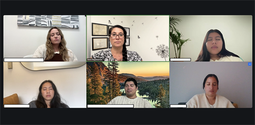 Online education workshop for therapists