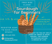 Sourdough for Beginners