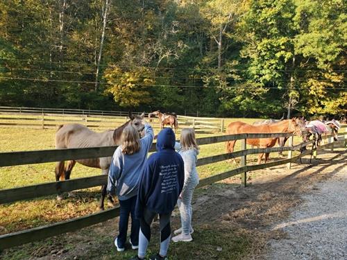 Girls love to explore many adventures. Here Decatur County Girl Scouts meet the horses at Camp Gallahue.