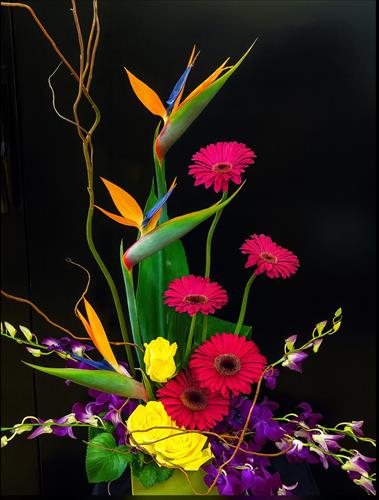 Stylized Tropical Design