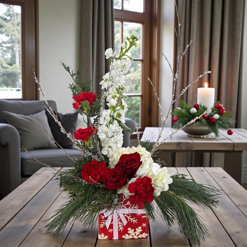 Winter’s Perfect Present