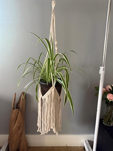 Fringe Macrame Plant Hanger