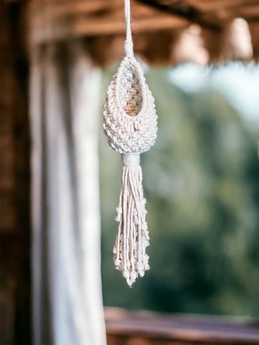 Air Plant Pod Holder