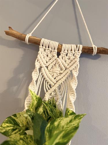 Details of the Macrame Wall Plant Hanging