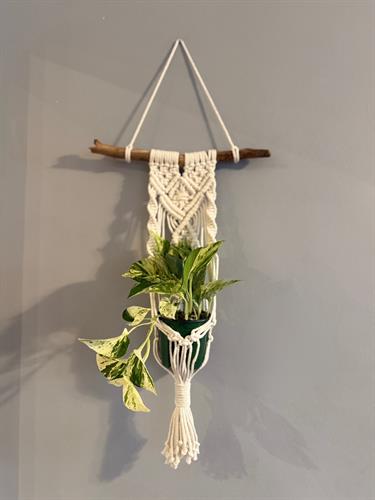 Macrame Wall Plant Hanger