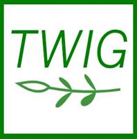 TWIG Consulting TWIG Consulting