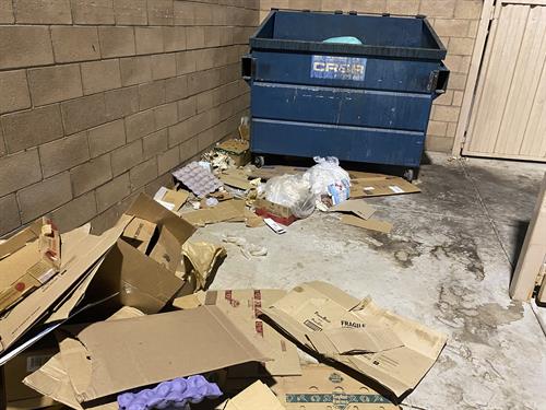 Dumpster Enclosure Disinfection and Cleaning, El Centro, California