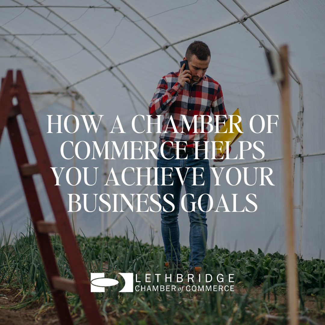 Image for How a Chamber of Commerce Helps You Achieve Your Business Goals