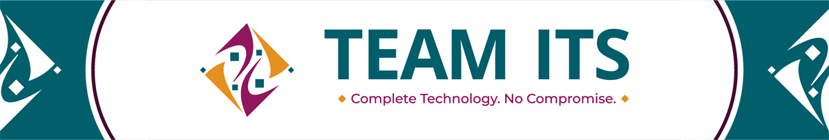 Team ITS, LLC, a BlueHaven IT Company