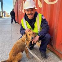 Lucky Pup! Coast Guard Saves Dog Trapped in Port of Houston Shipping Container