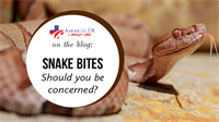 Snake Bites: Should You Be Concerned?