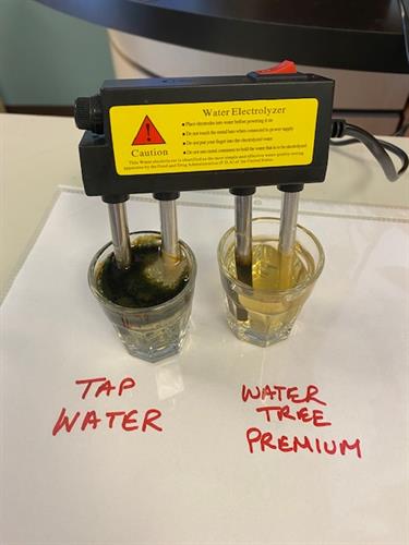 See what tap water really looks like.