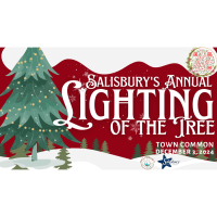 Salisbury Annual Lighting of the Tree