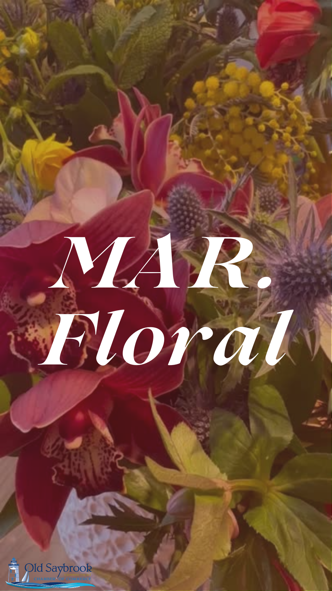 Image for Member Monday: MAR. Floral