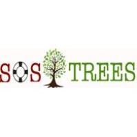 SOS Trees - Save Our Shade/ Fall Tree Giveaway