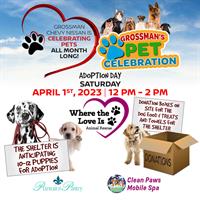 Pet Adoption Event at Grossman Nissan