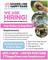 Shoreline Happy Paws LLC