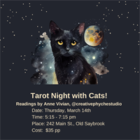 Tarot Night with Cats at All the Single Kitties Cat Cafe