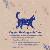 Crystal Healing with Cats at All the Single Kitties Cat Cafe