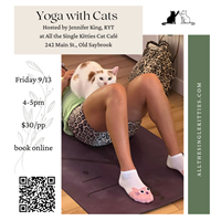 Friday the 13th Yoga with Cats!