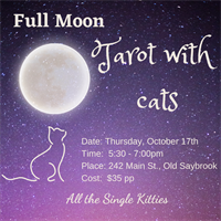 Full Moon Tarot with Cats!