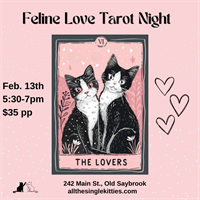 Feline Love Tarot Night at All the Single Kitties Cat Cafe