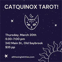 Catquinox Tarot at All the Single Kitties Cat Cafe