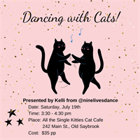 Dancing with Cats!