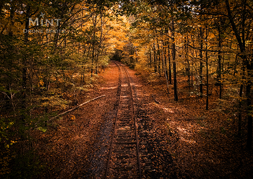 Railroad in the Fall