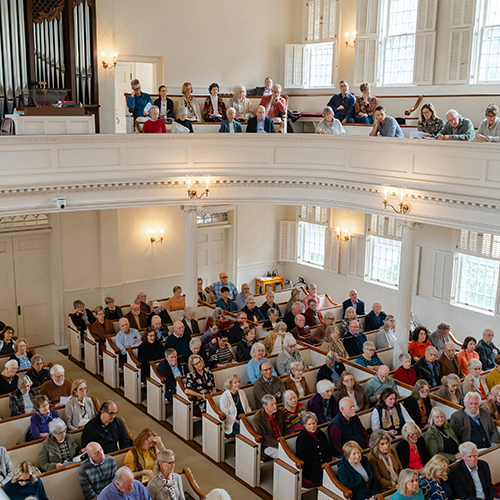 Audience enjoying a concert