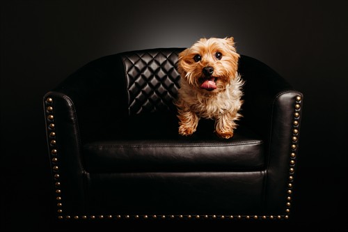 Gallery Image 5K7A2710.jpg