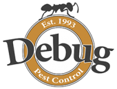 Debug