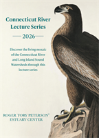 Return to the Sky: The Reintroduction of the Bald Eagle, by Dr. Tina Morris
