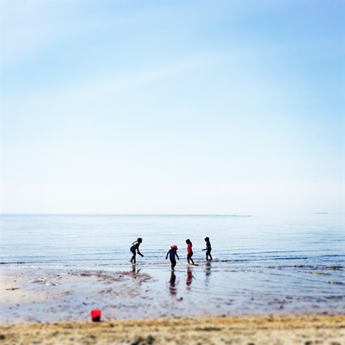 Gallery Image 89_img_7679.jpg