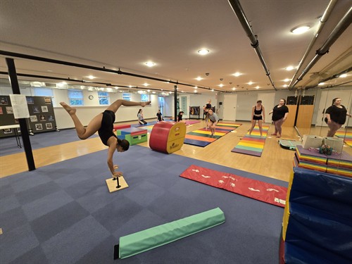 Building strength, flexibility, and confidence through Acro training.