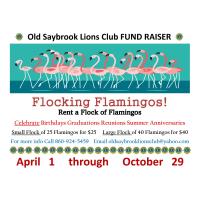 Flocking Flamingos Fundraiser