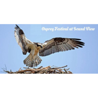Chamber Member Discount - Osprey Festival at Sound View Vendor Request
