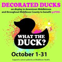 What the Duck? Pre-Registration