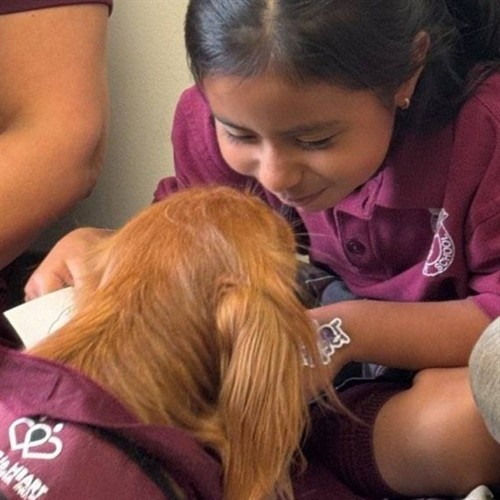 Gallery Image 538610074_1180236204140420_8957865591631807371_n.jpg