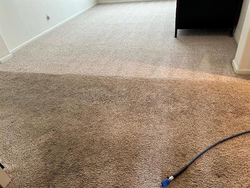 Carpet restoration in progress. 