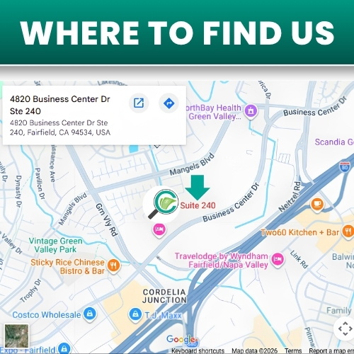 Gallery Image google_map-_TaxAce_Group_inc.jpg