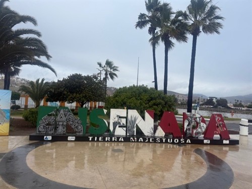 Buzz loves Ensenada!