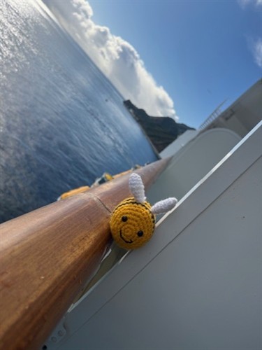 Buzz is sad that we were soooo close and missed Catalina (AGAIN!!)... but he's still smiling! (you think 3rd times a charm?)