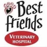 BEST FRIENDS VETERINARY HOSPITAL