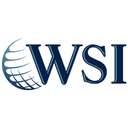 WSI- Optimized Web Solutions