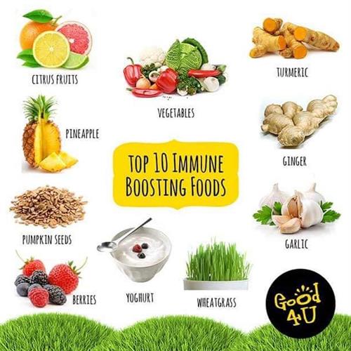 Gallery Image Immune_Boosting_Foods.jpg Gallery Image Immune_Boosting_Foods.jpg