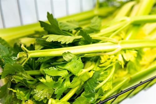 Gallery Image celery.jpg Gallery Image celery.jpg