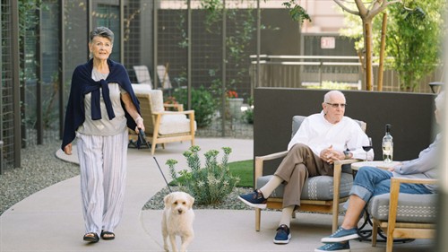 Dog Friendly Community