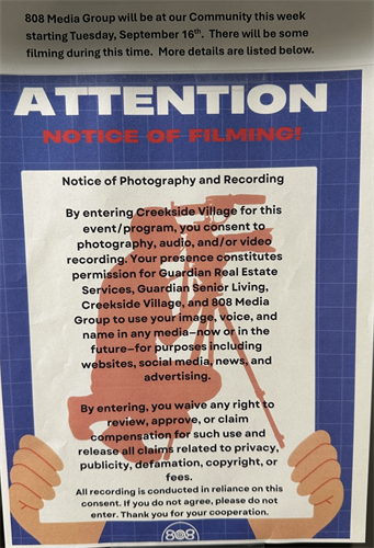 Gallery Image View_recent_photos_19.png