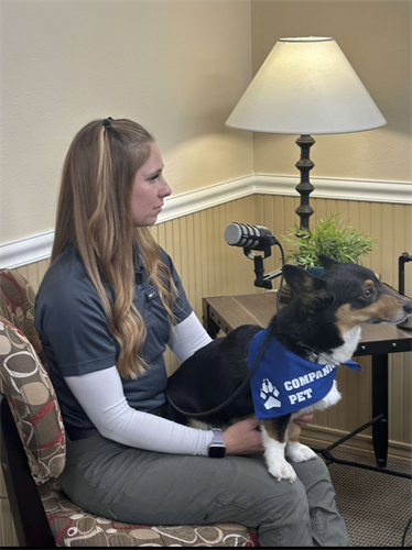 Gallery Image View_recent_photos_3.png